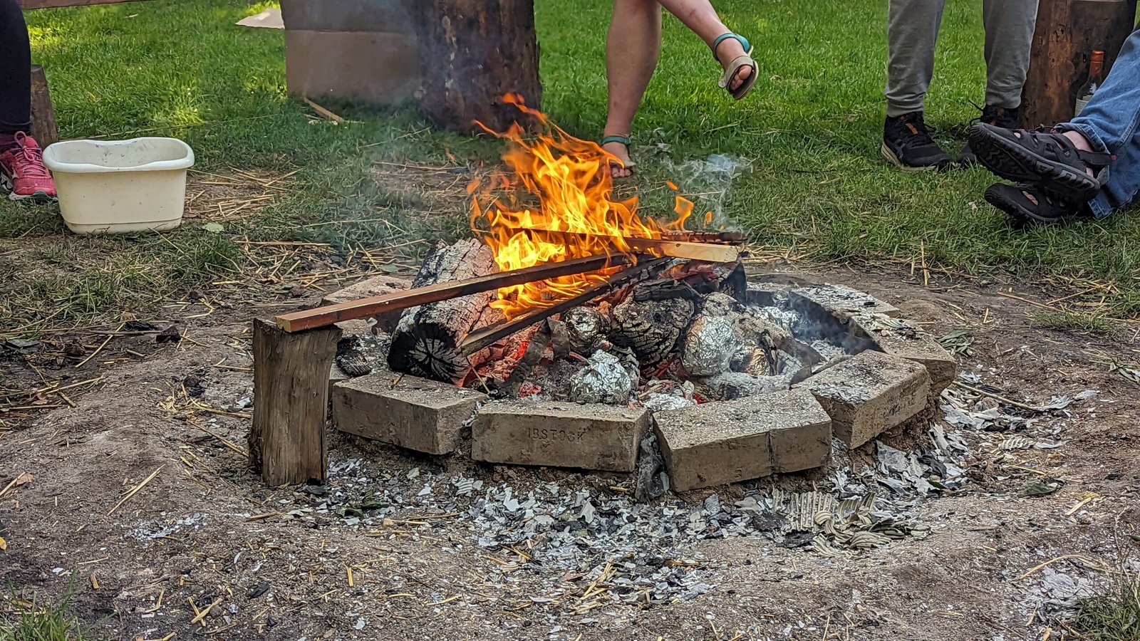 ReWilding: Into The Woods